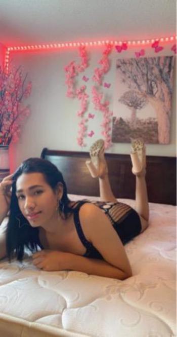 8326754490, transgender escort, Galveston